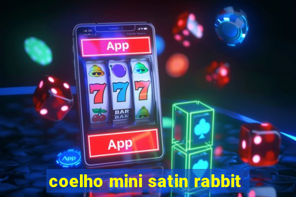 coelho mini satin rabbit